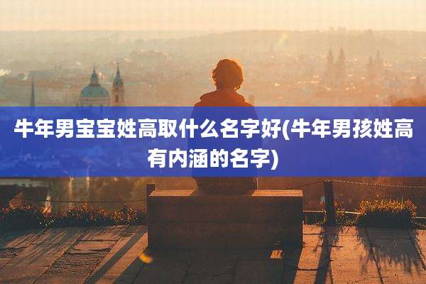 牛年男宝宝姓高取什么名字好(牛年男孩姓高有内涵的名字)