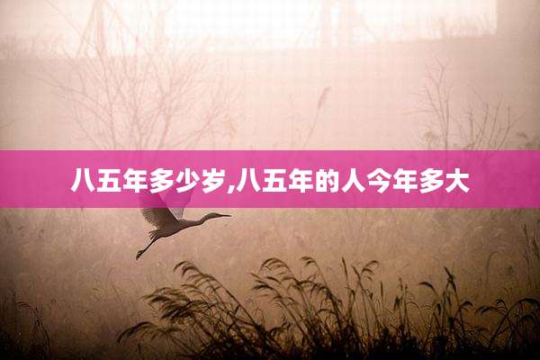 八五年多少岁,八五年的人今年多大