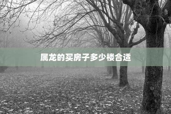 属龙的买房子多少楼合适