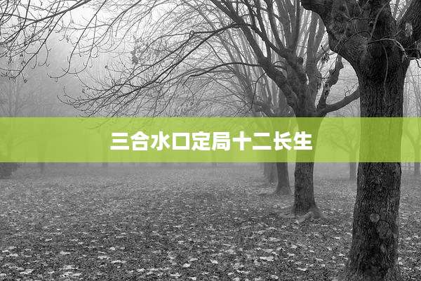 三合水口定局十二长生