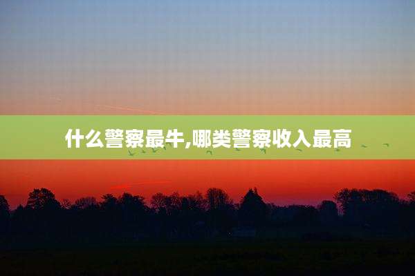 什么警察最牛,哪类警察收入最高