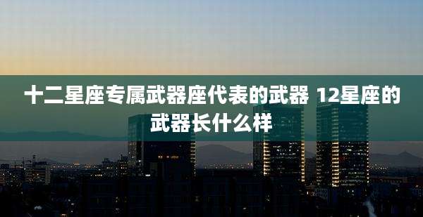十二星座专属武器座代表的武器 12星座的武器长什么样