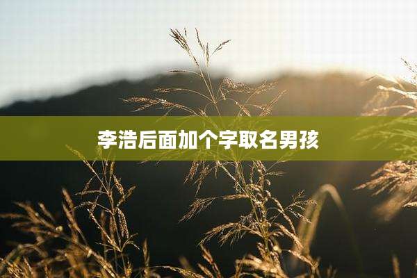 李浩后面加个字取名男孩