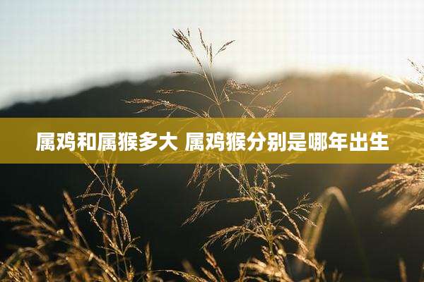 属鸡和属猴多大 属鸡猴分别是哪年出生