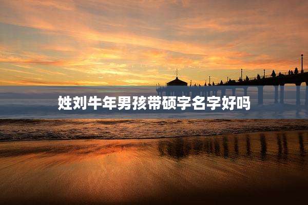 姓刘牛年男孩带硕字名字好吗