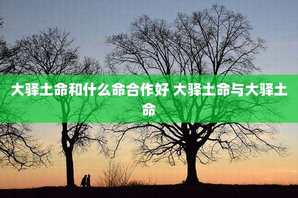 大驿土命和什么命合作好 大驿土命与大驿土命