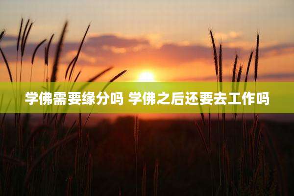 学佛需要缘分吗 学佛之后还要去工作吗