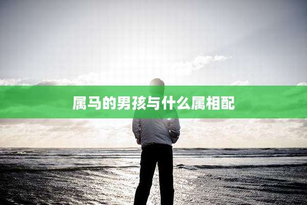 属马的男孩与什么属相配