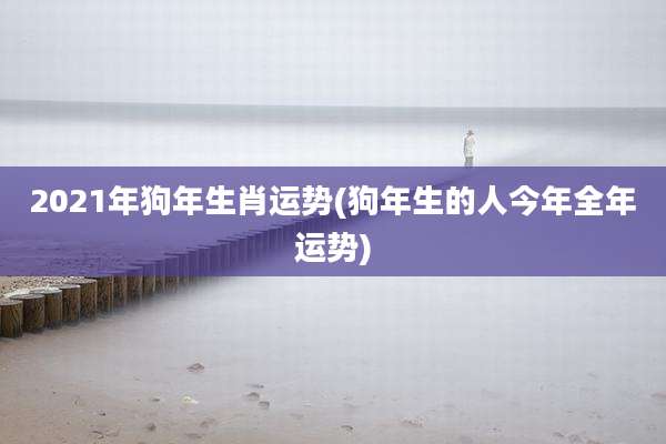 2021年狗年生肖运势(狗年生的人今年全年运势)