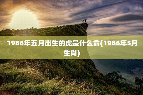 1986年五月出生的虎是什么命(1986年5月生肖)