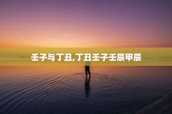 壬子与丁丑,丁丑壬子壬辰甲辰