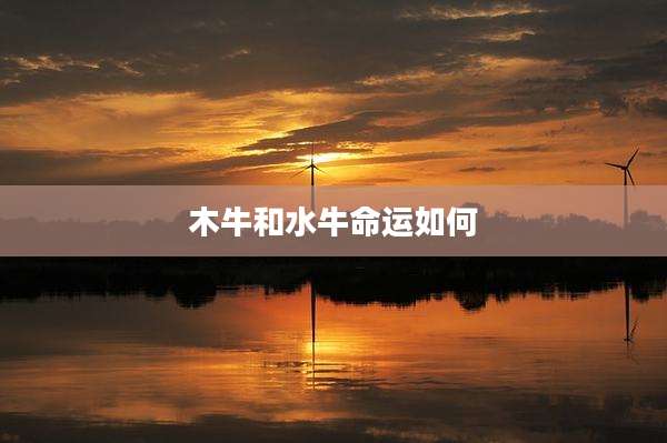 木牛和水牛命运如何