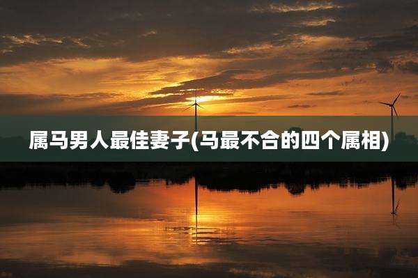 属马男人最佳妻子(马最不合的四个属相)
