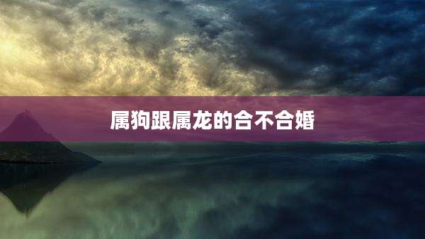 属狗跟属龙的合不合婚