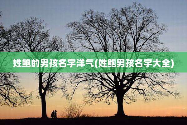 姓鲍的男孩名字洋气(姓鲍男孩名字大全)
