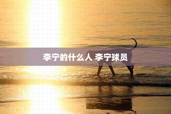 李宁的什么人 李宁球员