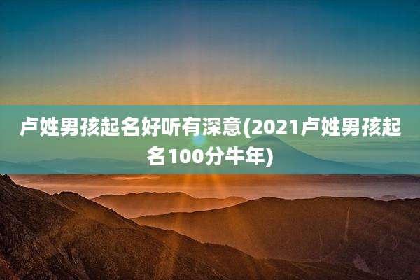 卢姓男孩起名好听有深意(2021卢姓男孩起名100分牛年)