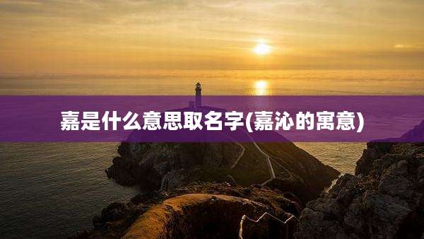 嘉是什么意思取名字(嘉沁的寓意)