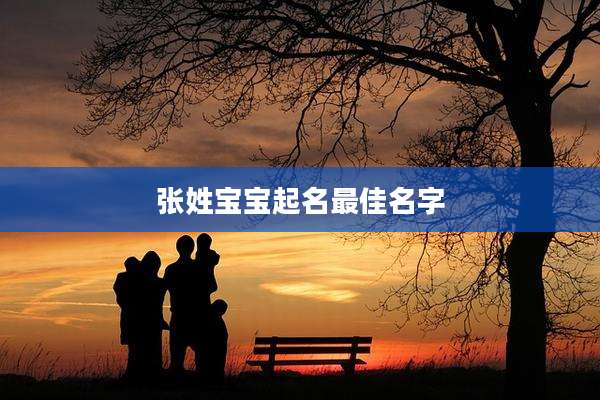 张姓宝宝起名最佳名字