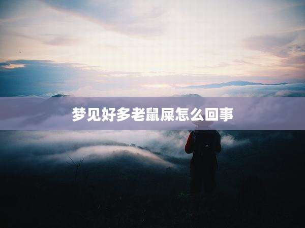 梦见好多老鼠屎怎么回事