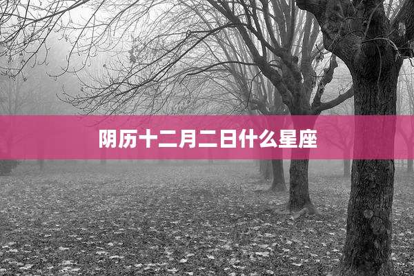 阴历十二月二日什么星座