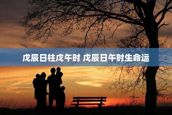 戊辰日柱戊午时 戊辰日午时生命运