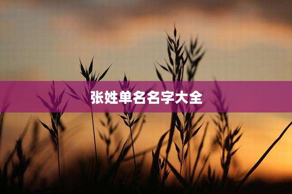 张姓单名名字大全