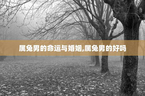 属兔男的命运与婚姻,属兔男的好吗