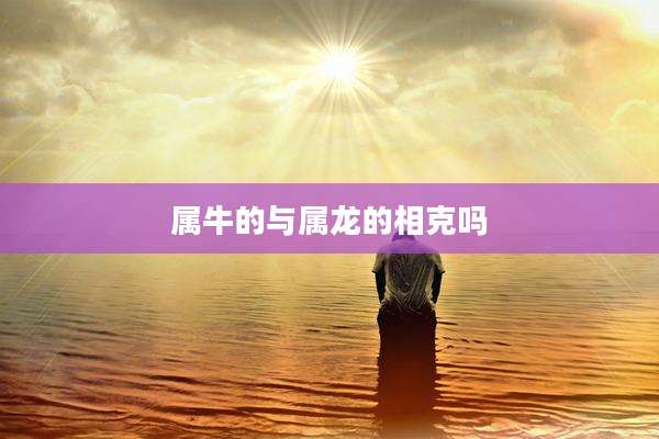 属牛的与属龙的相克吗