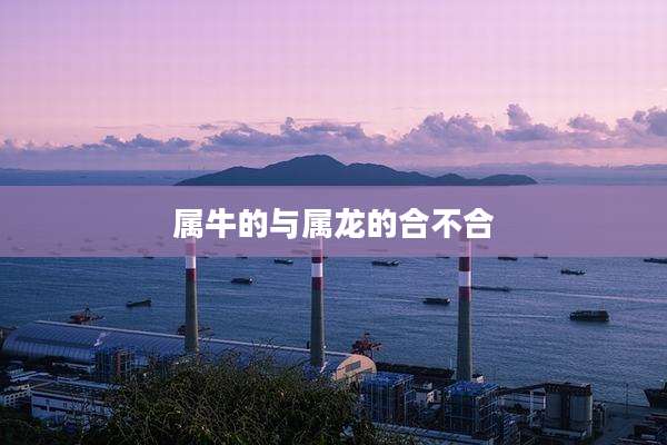 属牛的与属龙的合不合