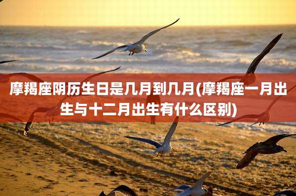 摩羯座阴历生日是几月到几月(摩羯座一月出生与十二月出生有什么区别)