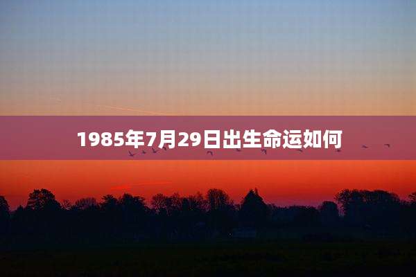 1985年7月29日出生命运如何