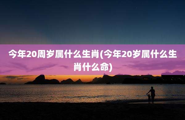 今年20周岁属什么生肖(今年20岁属什么生肖什么命)