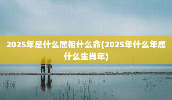 2025年是什么属相什么命(2025年什么年属什么生肖年)