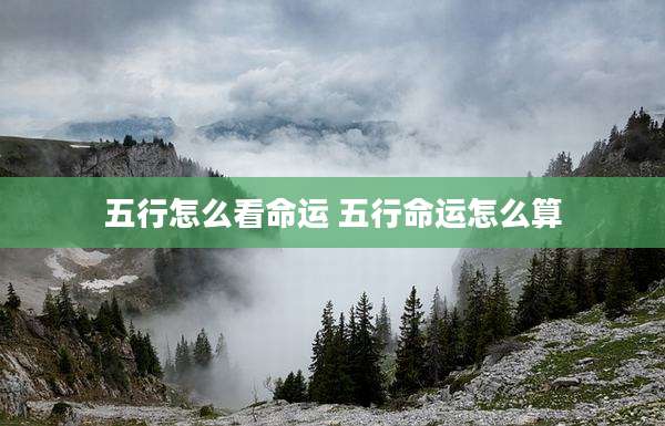 五行怎么看命运 五行命运怎么算