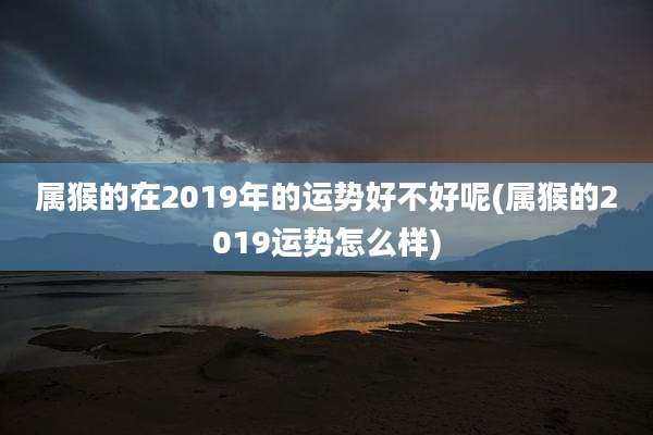 属猴的在2019年的运势好不好呢(属猴的2019运势怎么样)
