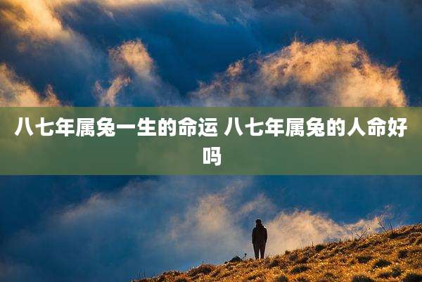 八七年属兔一生的命运 八七年属兔的人命好吗