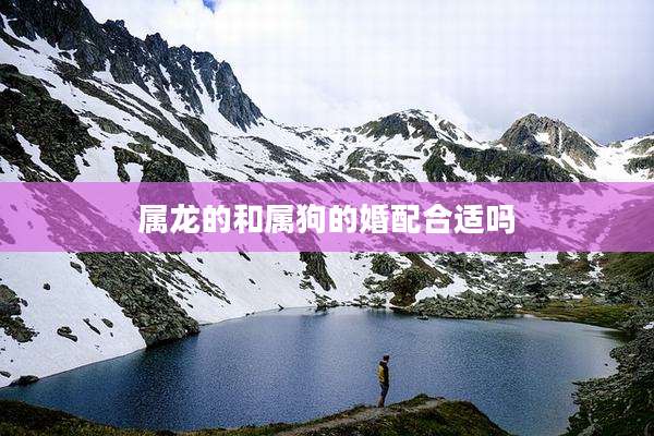 属龙的和属狗的婚配合适吗