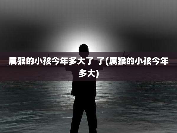 属猴的小孩今年多大了 了(属猴的小孩今年多大)