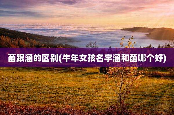 菡跟涵的区别(牛年女孩名字涵和菡哪个好)