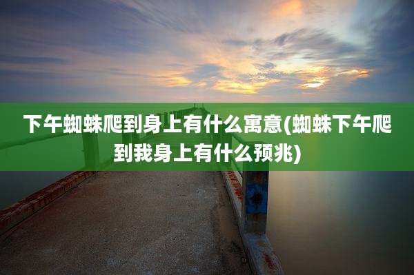 下午蜘蛛爬到身上有什么寓意(蜘蛛下午爬到我身上有什么预兆)