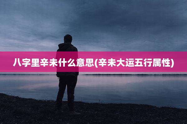 八字里辛未什么意思(辛未大运五行属性)