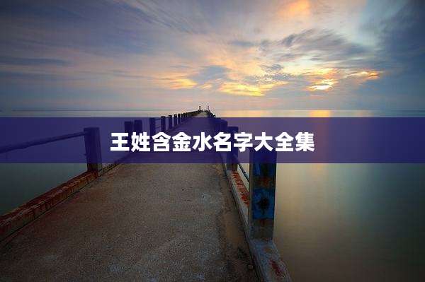 王姓含金水名字大全集