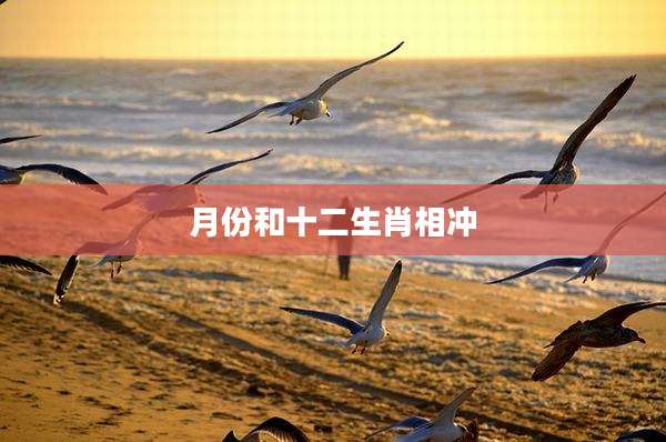 月份和十二生肖相冲