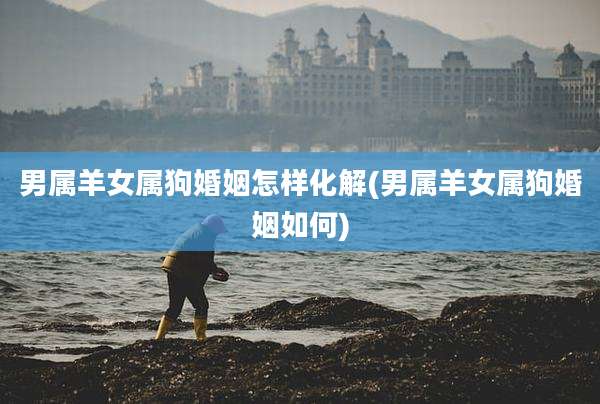 男属羊女属狗婚姻怎样化解(男属羊女属狗婚姻如何)