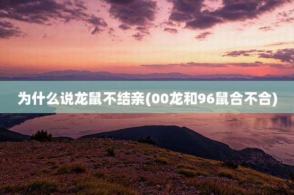 为什么说龙鼠不结亲(00龙和96鼠合不合)