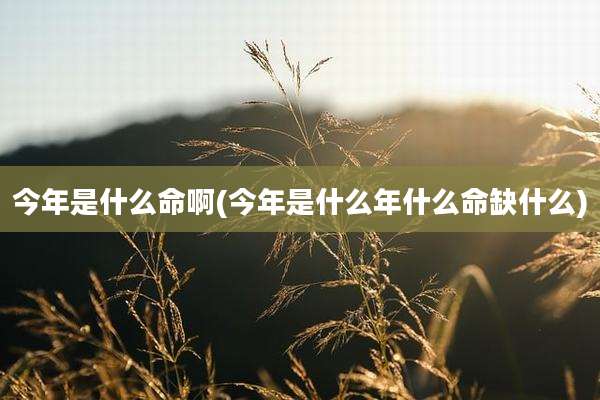 今年是什么命啊(今年是什么年什么命缺什么)