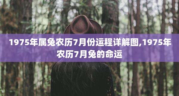1975年属兔农历7月份运程详解图,1975年农历7月兔的命运