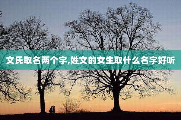 文氏取名两个字,姓文的女生取什么名字好听