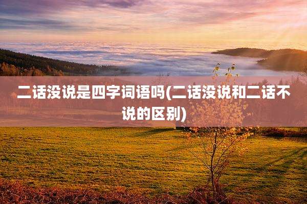 二话没说是四字词语吗(二话没说和二话不说的区别)